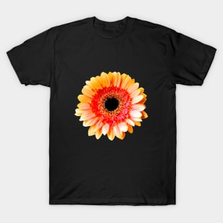 Delicate Gerbera T-Shirt